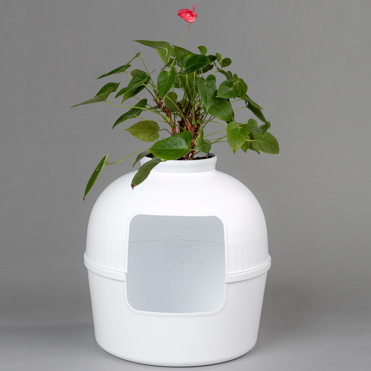  XXL Kattenbak – Verborgen Kattentoilet – Flower XXL Wit Voor Grote Katten Van RHRQuality