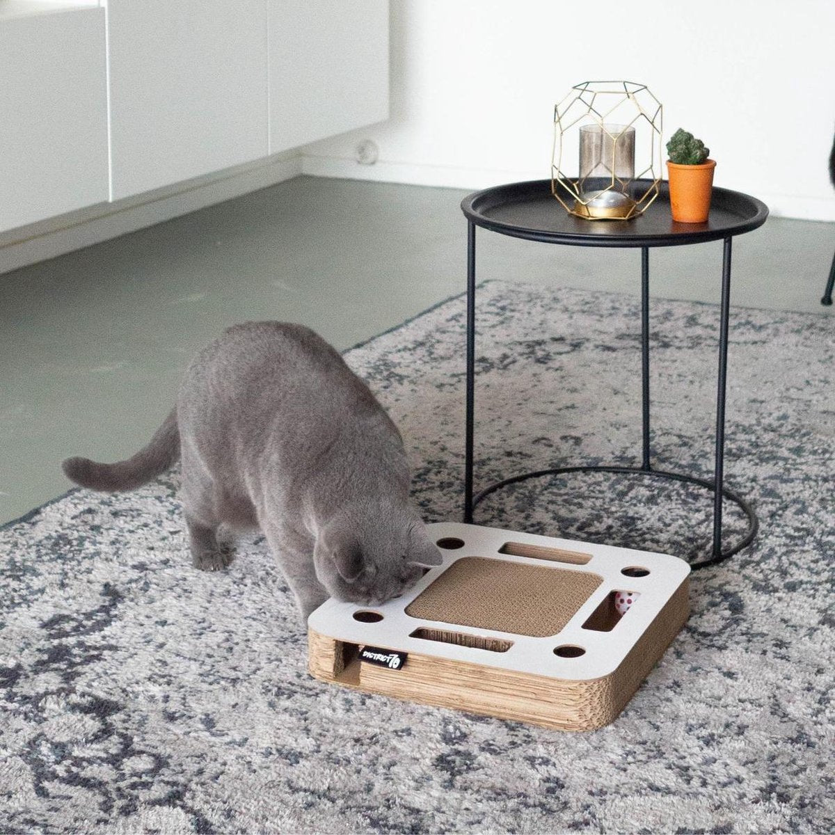  Interactief Krabspeelgoed Van Karton Met Balletje En Belletje - District 70 SPY - Zwart Of Wit 35x35x6cm - Zwart