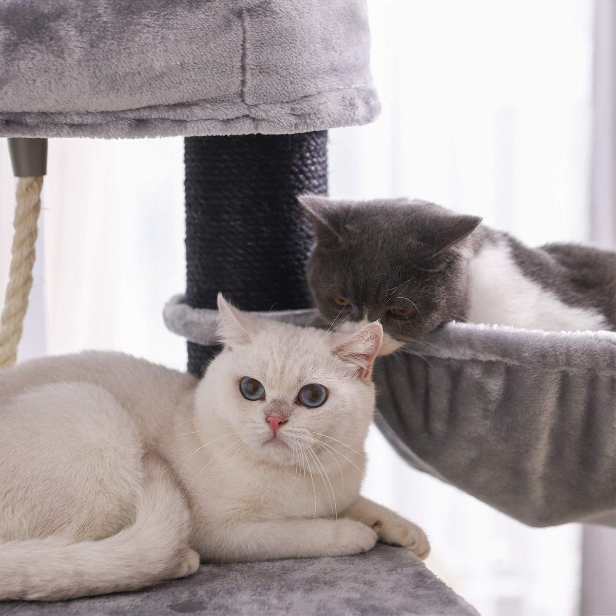  Giving® XXL Luxe Stevige Katten Krabpaal Voor Katten - Stevig Krabmeubel Met Hangmat Mand Katten Huis Tunnel &amp; Speel Touw - Grote Krab Paal Klimpaal - 92 CM Hoog - Grijs/Zwart