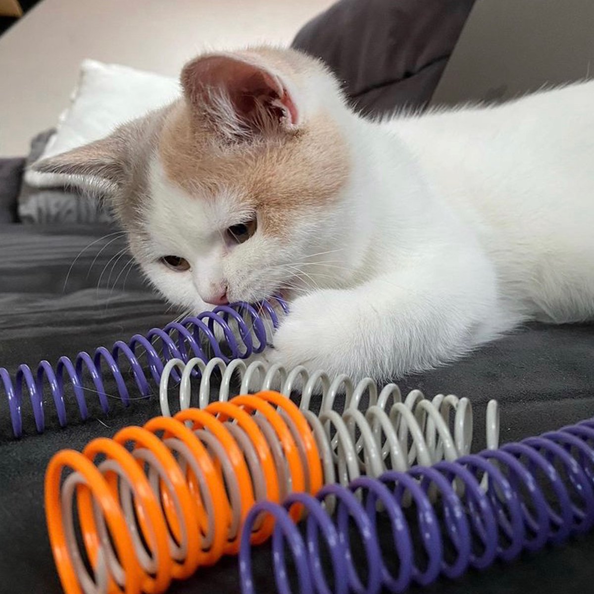  Pettadore Springs - Kattenveertjes - Kattenspeelgoed - Kattenspeeltjes - 9 Stuks