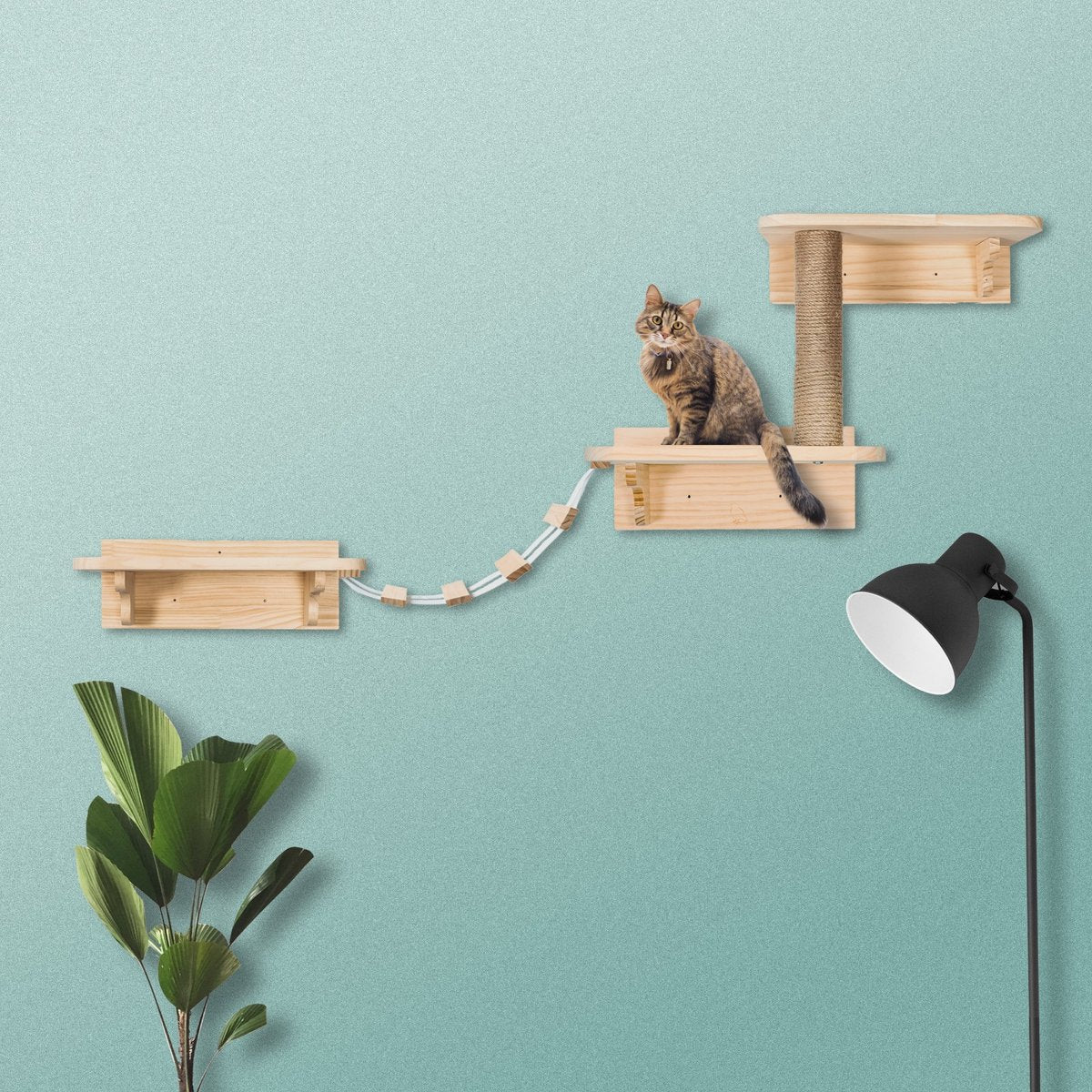  LBB - Katten Klimmuur - Ladder En Krabpaal - Katten Klim Wand - Krabpaal Muur - Klimmuur Kat - Krabpaal Voor Grote Katten