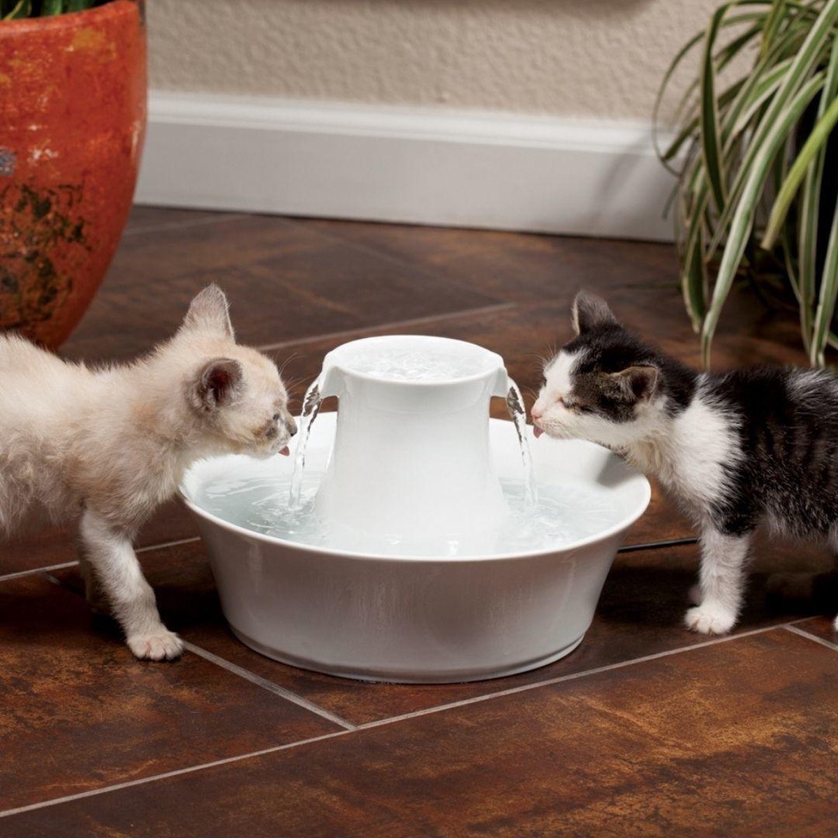  Petsafe Drinkwell Ceramic Avalon - Drinkfontein - 2 L