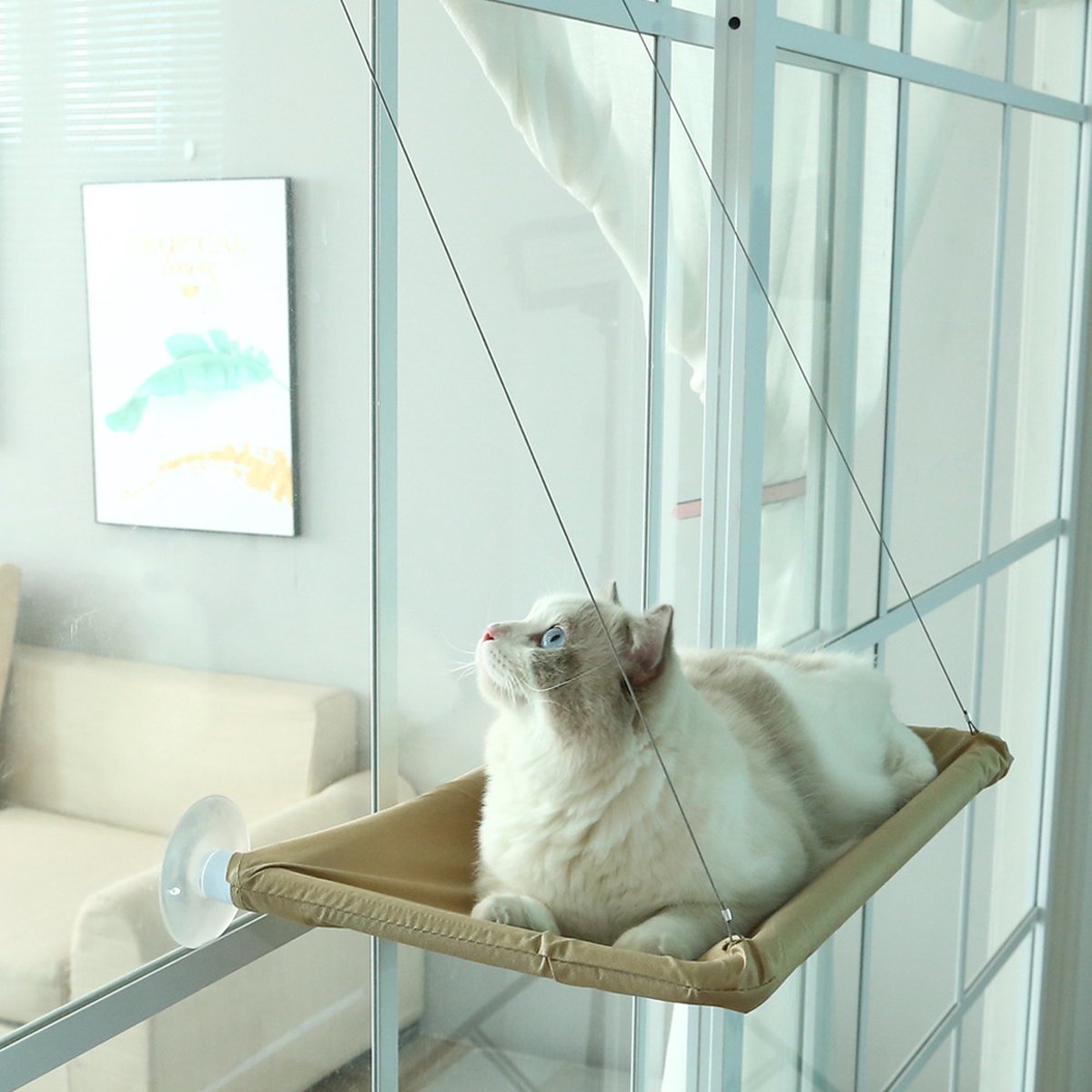 Merkloos Kattenhangmat Voor Raam - Hangmat Kat - Kattenmat - Kattenmand Raam - Kattenmand - Kattenspeeltjes - Beige - Voor Grote &amp; Kleine Katten - Tot 20 KG