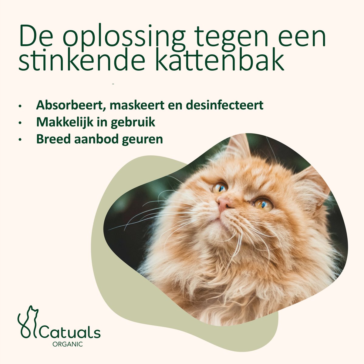  Catuals Kattenbakvulling Geurverdrijver - Neutraliseert Urinegeur Van Katten - Cotton Fresh - 500g