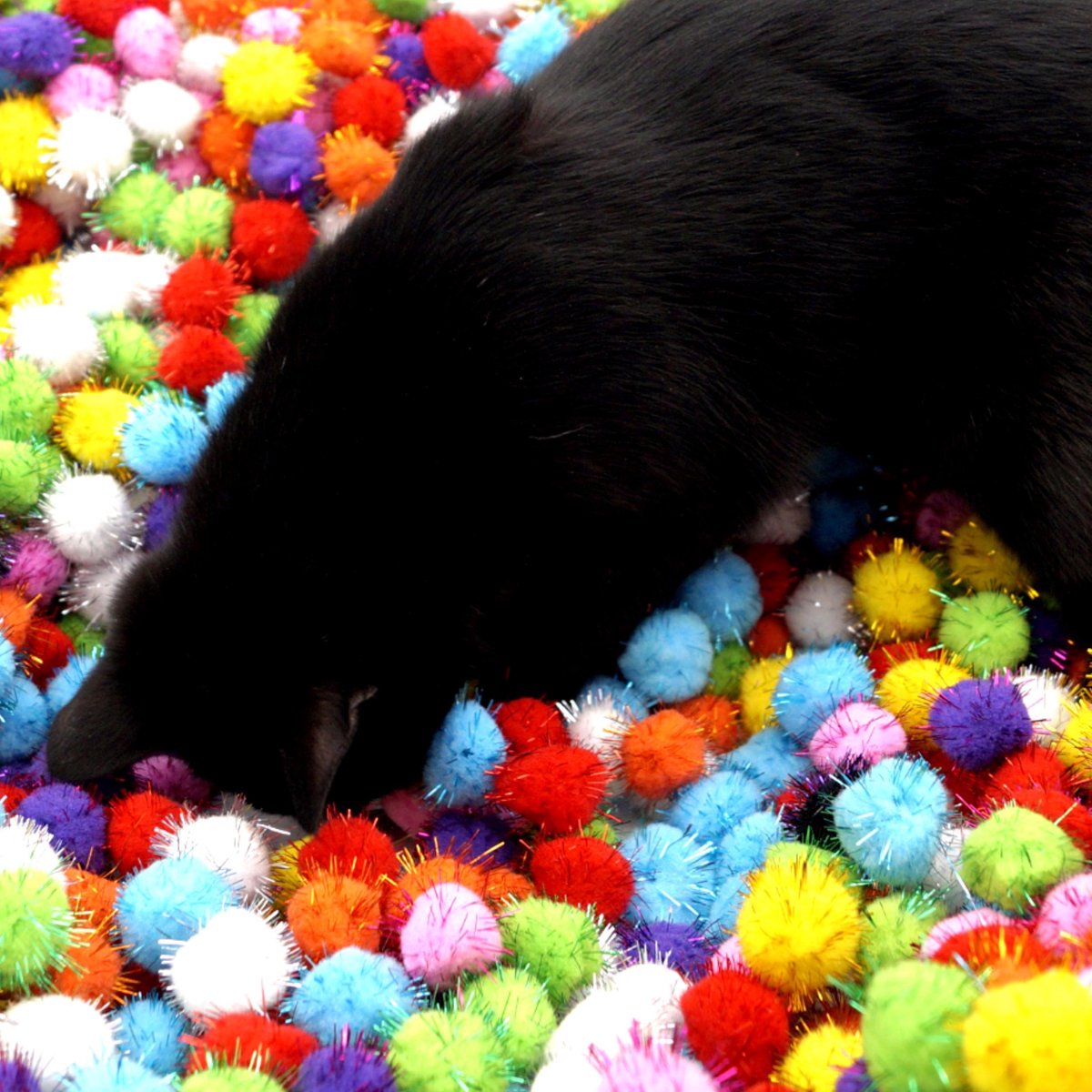  Make Me Purr Glitter Pompon Ballen (10 Stuks) - Kattenspeeltjes - Kattenspeelgoed - Speelgoed Voor Katten - Kat Speeltje Bal - Kitten Speeltjes Balletjes