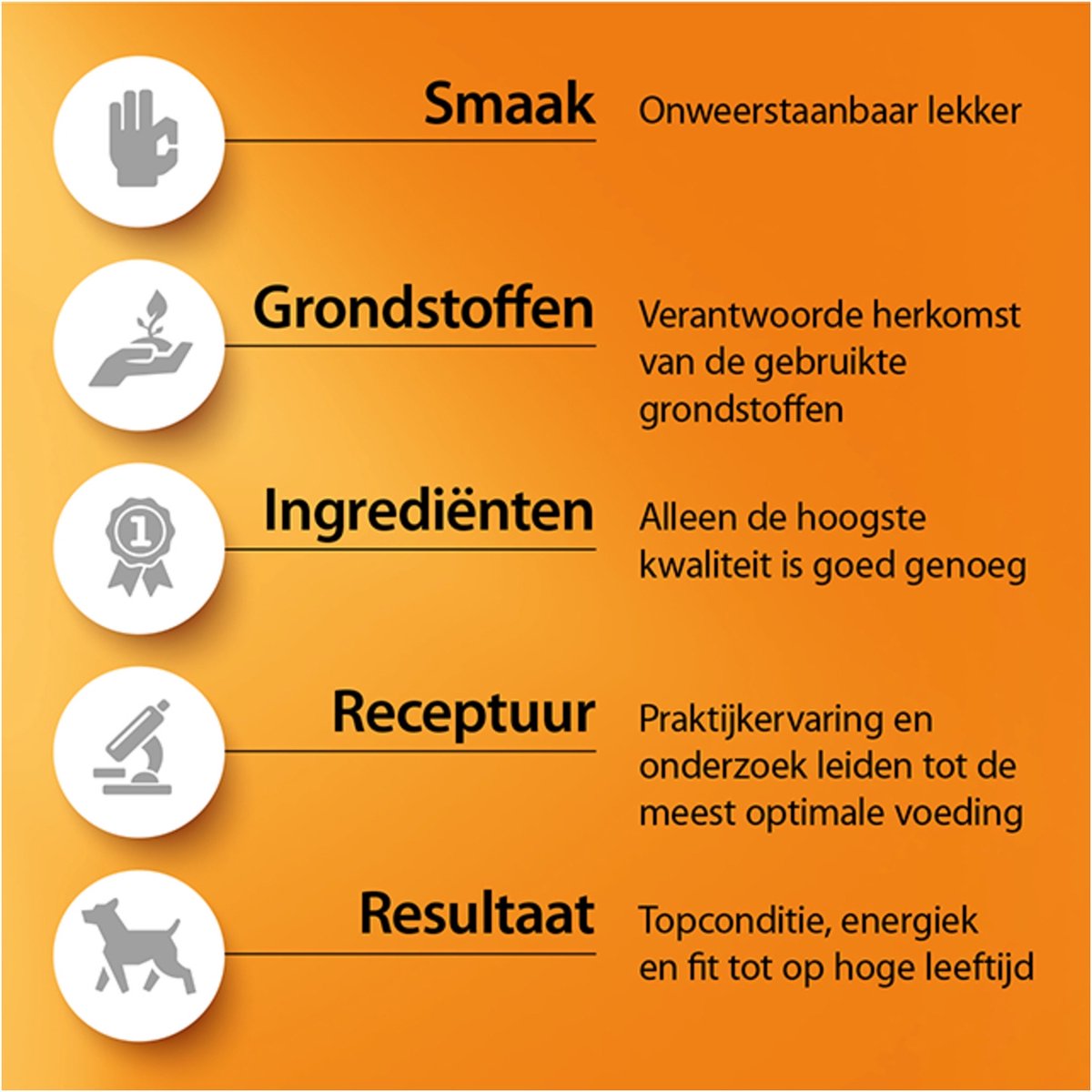  Fokker Country Balance - Wild En Gevogelte - Kattenvoer - 10 Kg