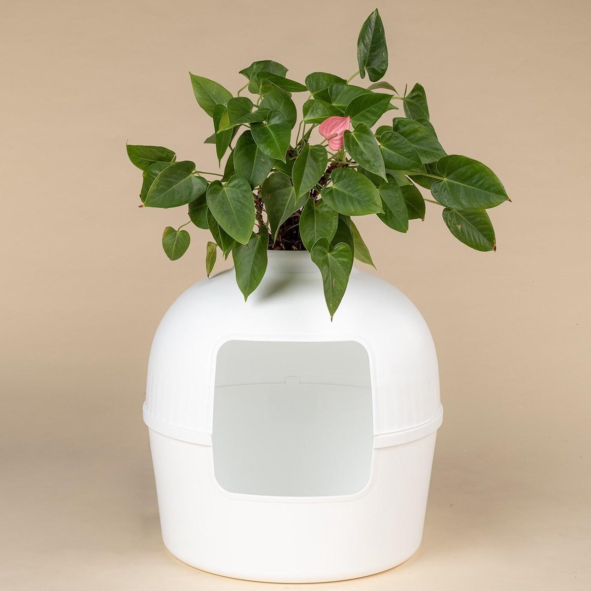  XXL Kattenbak – Verborgen Kattentoilet – Flower XXL Wit Voor Grote Katten Van RHRQuality