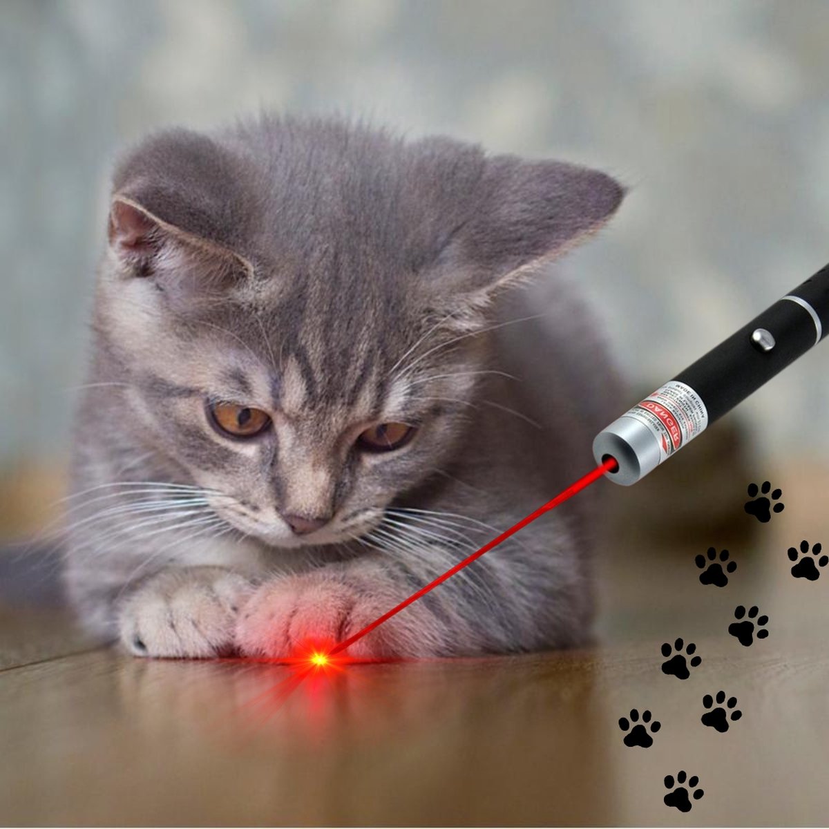  Katten Laser - Dierenwinkel Nederland