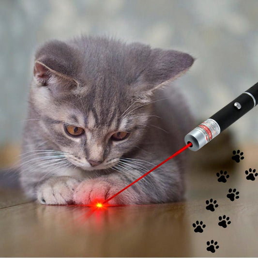  Katten Laser - Dierenwinkel Nederland