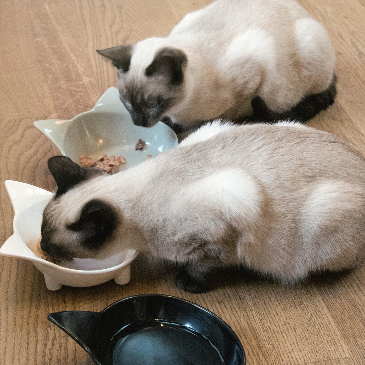  Navaris Voerbakjes Voor Katten - Set Van 3 Voer- En Waterbakken - Met Kattenkopjes Vorm - Antislip - Etensbakjes In Grijs, Wit En Zwart