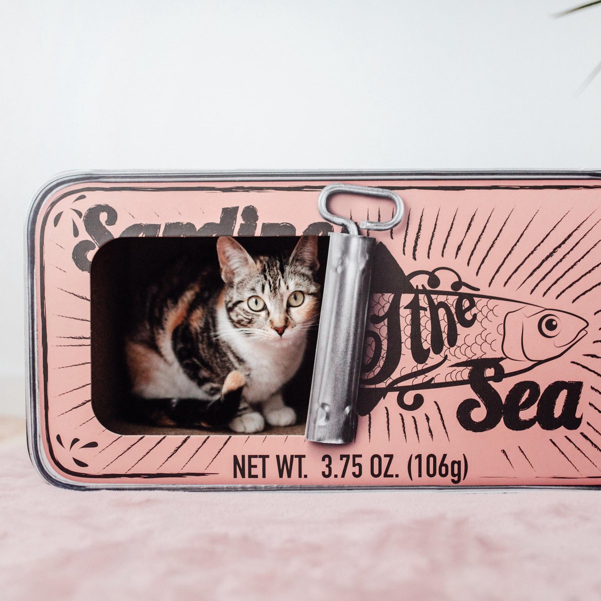  District 70 SARDINE - Design Katten Krabmeubel Van Gerecycled Karton - Zwart, Wit Of Perzik - Afmeting 60x30x30 Cm - Perzik