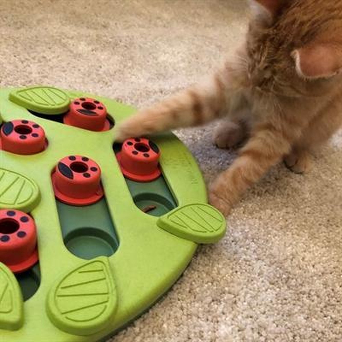  Nina Ottosson Puzzle &amp; Play Buggin Out Groen 35x26x4 Cm