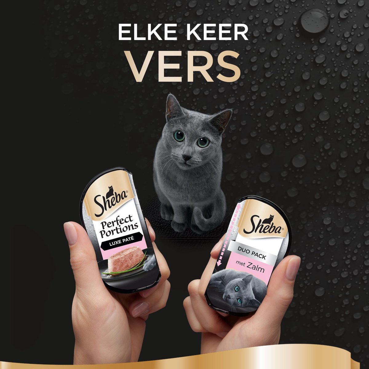  Sheba Perfect Portions Paté Katten Natvoer - Zalm - 48 Stuks