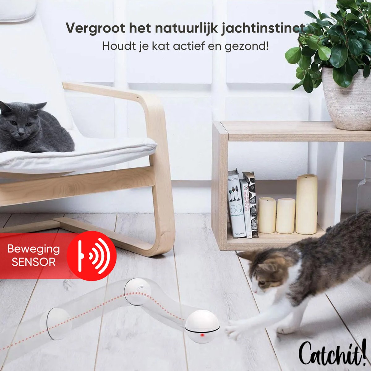  Catchit!® Interactieve Zelfrollende Bal Katten - Kattenspeeltjes - Inclusief USB Kabel En Staartjes - Kattenspeelgoed - Smart - Grijs