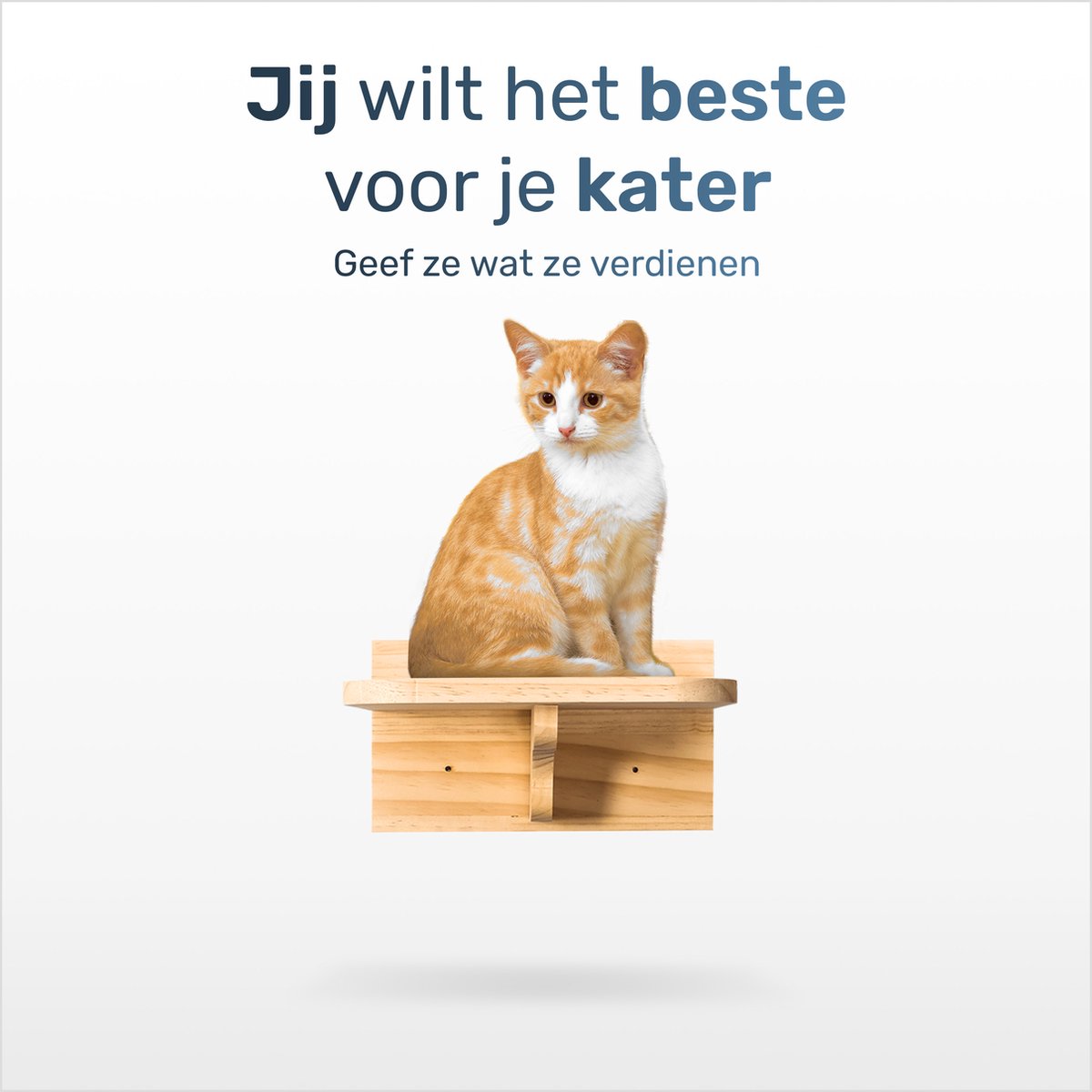  Katten Klimmuur - Complete Set - Krabpaal - Huisje - Ladders - Plateaus - Katten Klim Wand - Krabpaal Muur - Klimmuur Kat - Krabpaal Voor Grote Katten - Klimwand