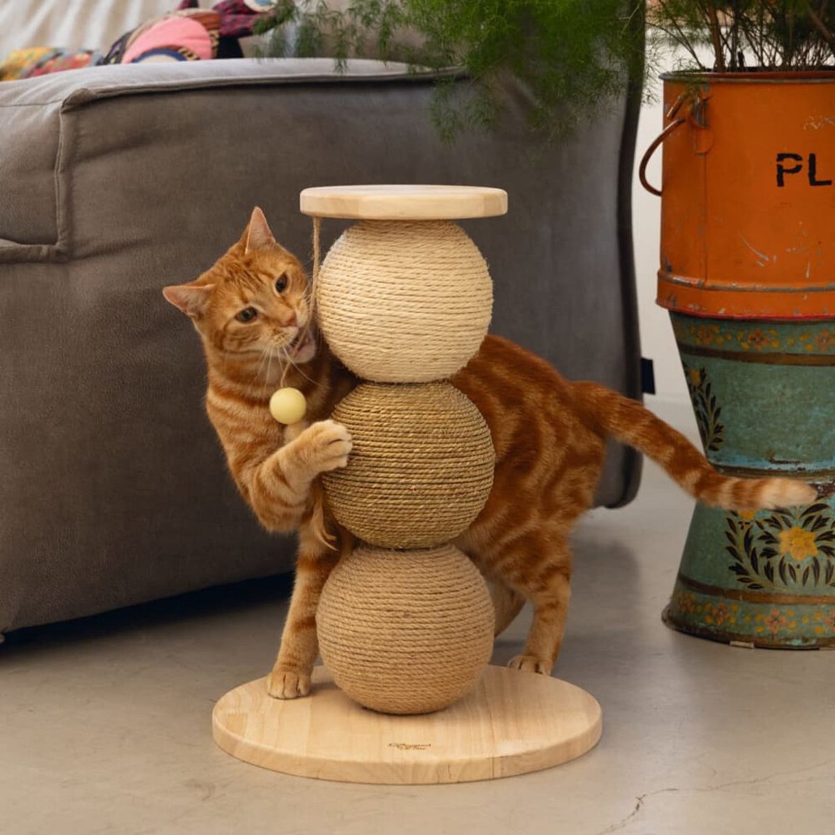  Designed By Lotte Kattenkrabbollen Elio 34x47.5 Cm Hout