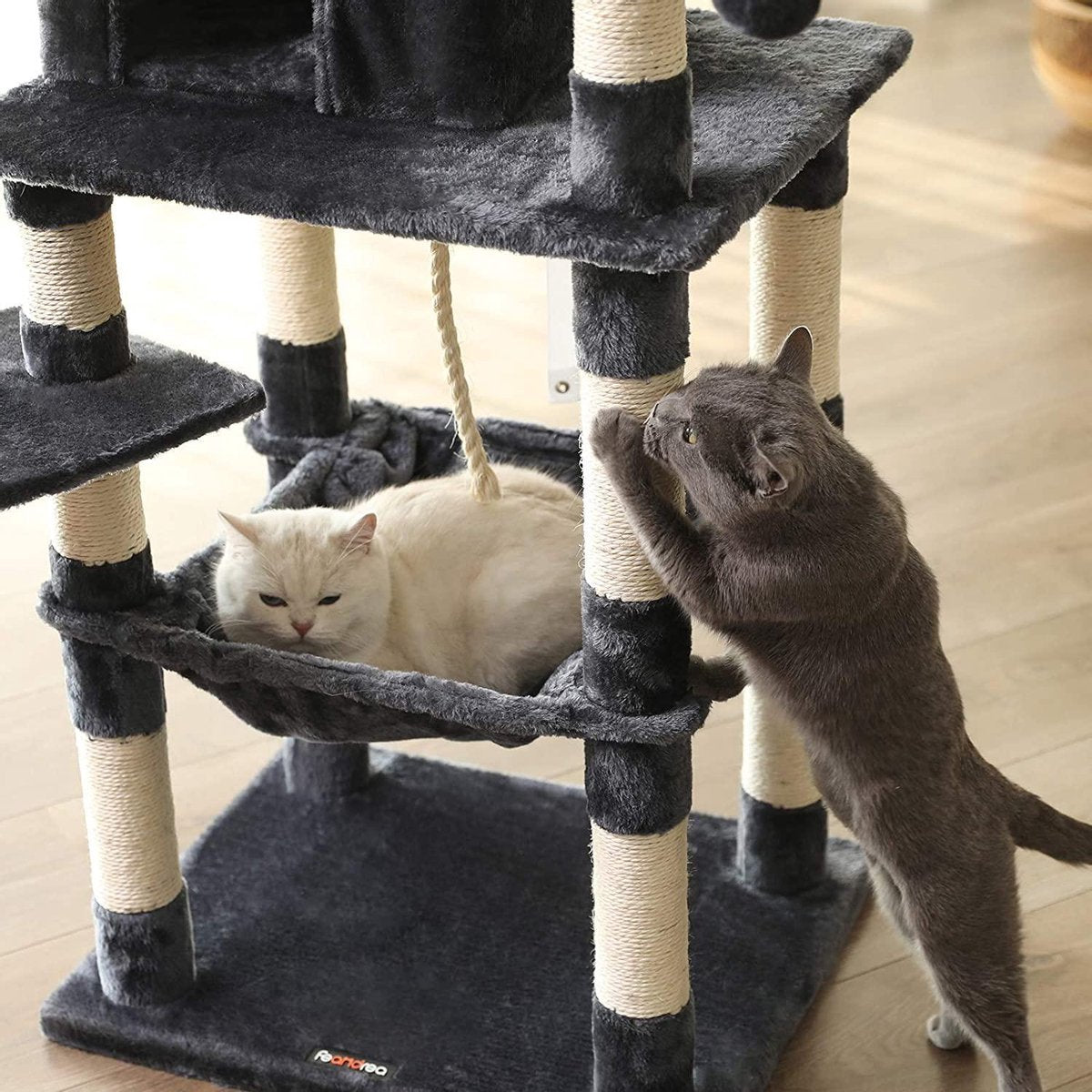  Kat Krabpaal Voor Meerdere Katten - Met Hokje En Plateaus - Grote Of Kleine Katten - Grijs En Wit