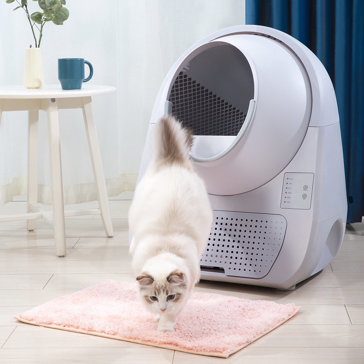 Catlink Smart Litter Box - Scooper Young - Zelfreinigende Kattenbak Zonder Wifi - Kleur Grijs