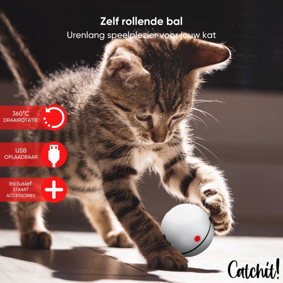  Catchit!® Interactieve Zelfrollende Bal Katten - Kattenspeeltjes - Inclusief USB Kabel En Staartjes - Kattenspeelgoed - Smart - Grijs