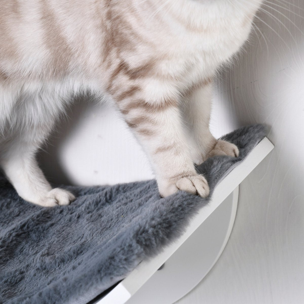 Merkloos Paws And Claws - Cat Shelf – Hangmat Kat – Kattenplank - Kattenbed - Wasbaar – Wandmontage – MDF - Wit