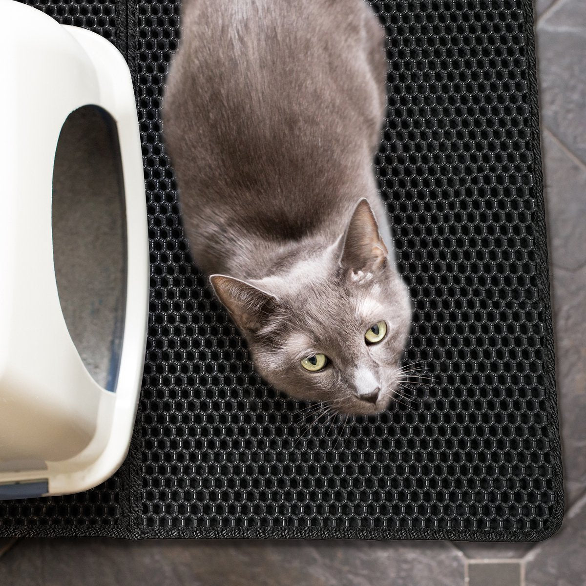 Merkloos Tastelio XXL Kattenbakmat 75x55cm - Groot Kattenbak Mat Met Innovatieve Honingraatstructuur - Dubbele Waterdichte Laag - Katten Bak Mat Met Eenvoudige Reiniging Grit Opvanger