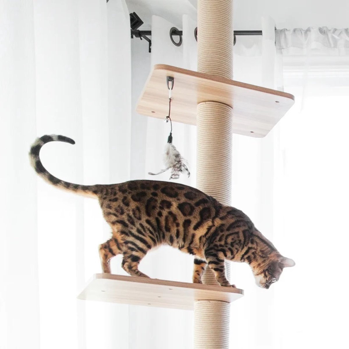  BeOneBreed Katt3 EVO Tower - Krabpaal Voor Katten Van Vloer Tot Plafond – Inclusief 3 Vilten Matjes En Hangspeeltje - Gelamineerd Hout - Maximale Hoogte 254 Cm
