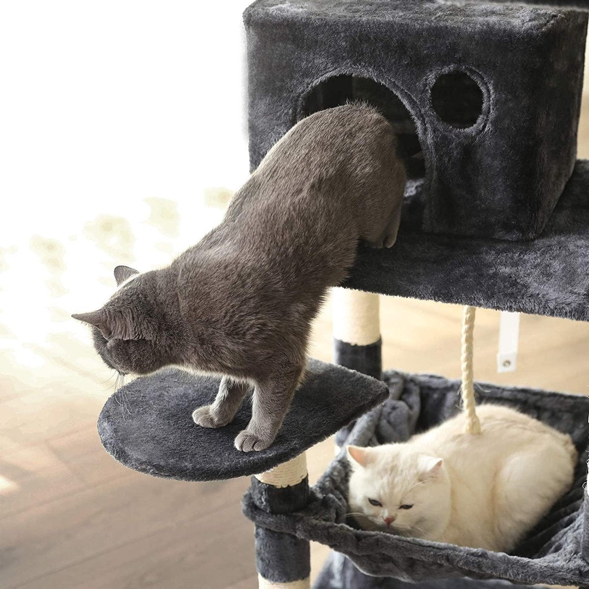  Kat Krabpaal Voor Meerdere Katten - Met Hokje En Plateaus - Grote Of Kleine Katten - Grijs En Wit