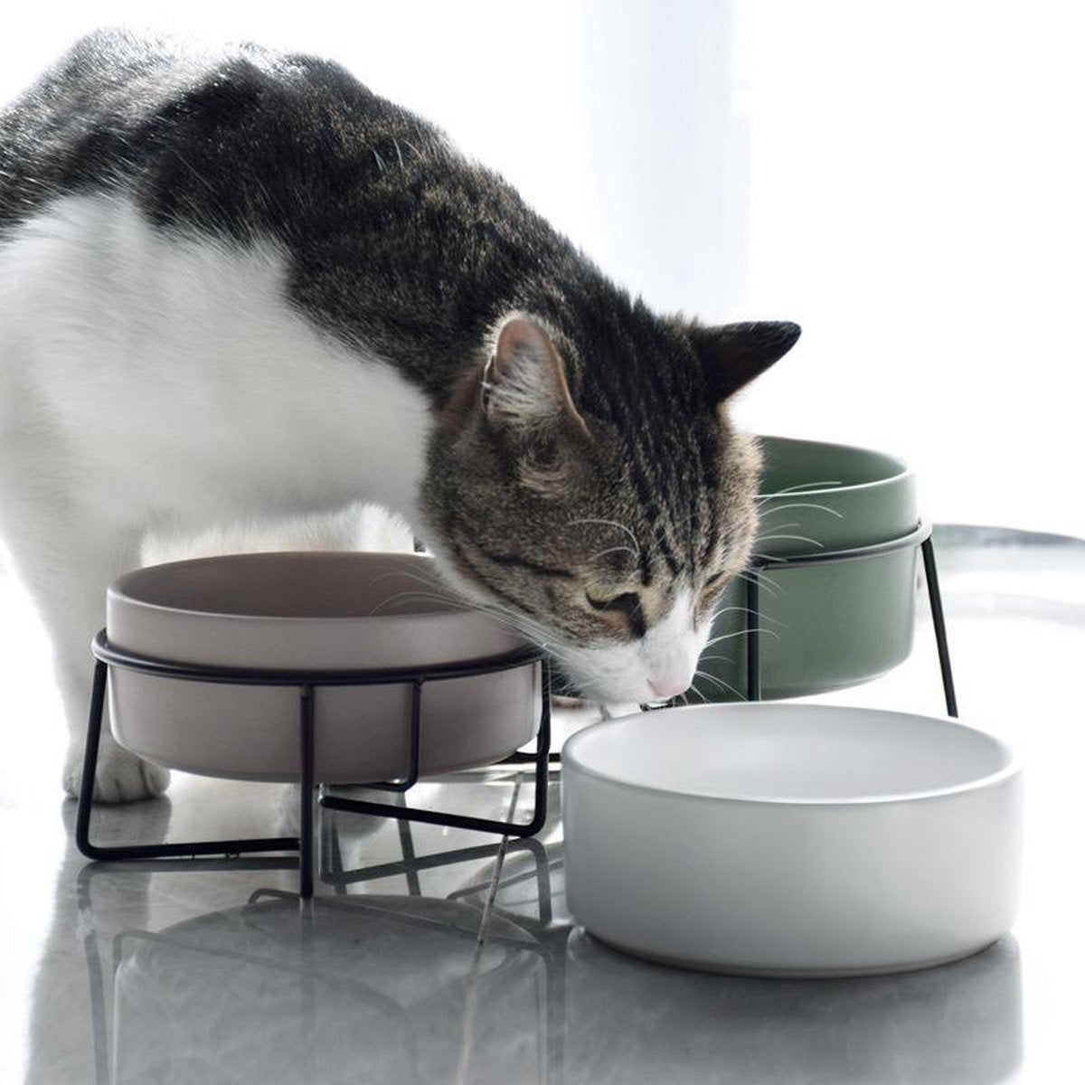  GIZMO 2x Voerbak Kat - 400 Ml - Groen - Keramische Drink- &amp; Voerbakken Met Standaard - 13 Cm - 2 Stuks