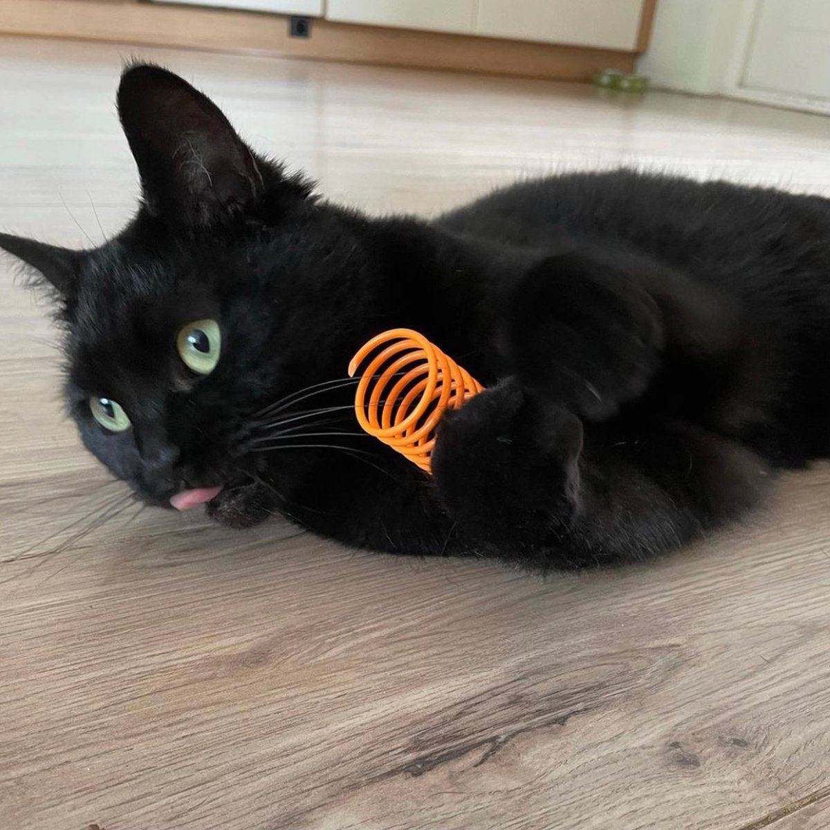  Pettadore Springs - Kattenveertjes - Kattenspeelgoed - Kattenspeeltjes - 9 Stuks