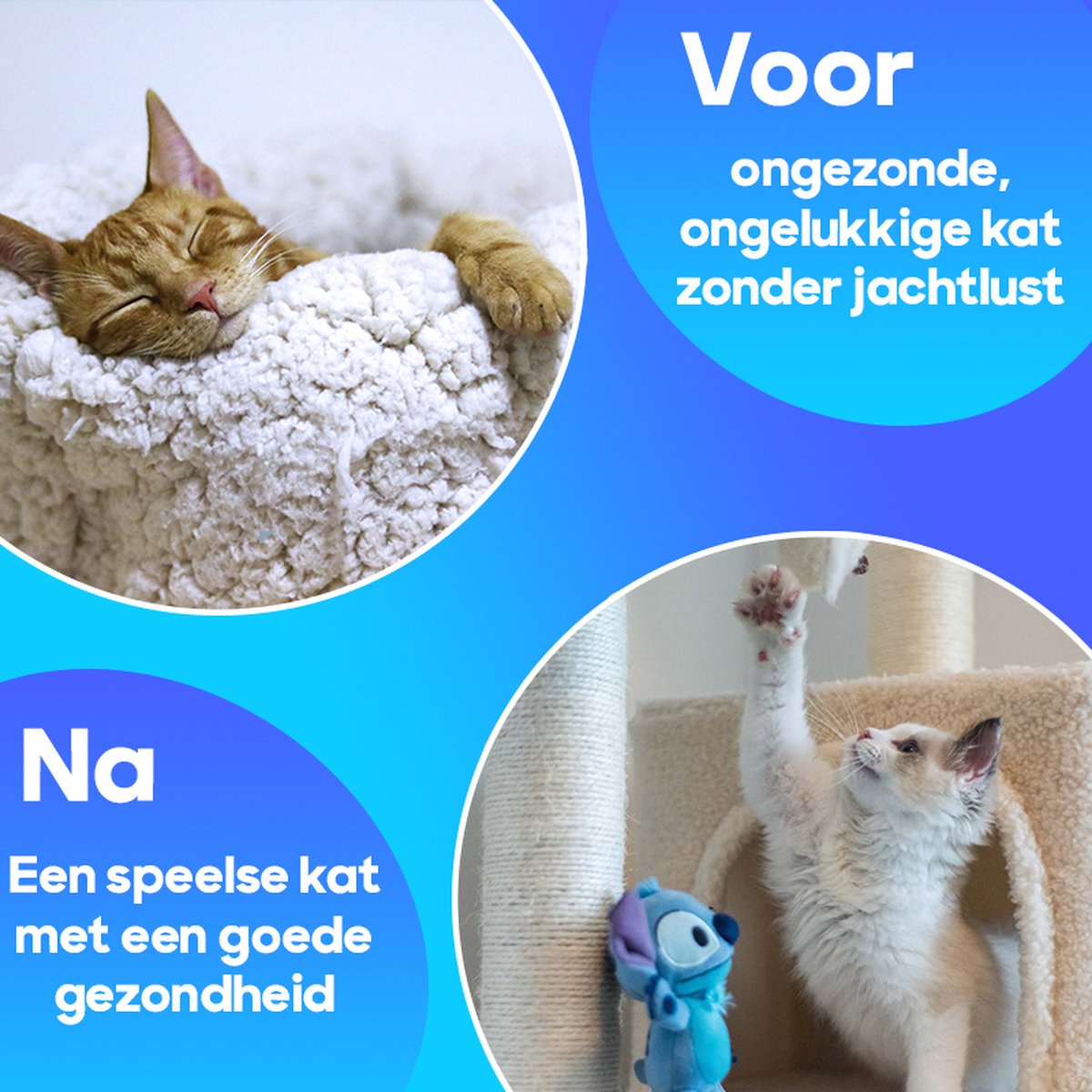  TocaToca Kip- Interactieve Zelf Bewegende Speeltje- Kattenspeeltjes- Kattenspeelgoed- Intelligentie- Kip Voor Katten- Laser- USB- Speelgoed- Geluid- Blauw