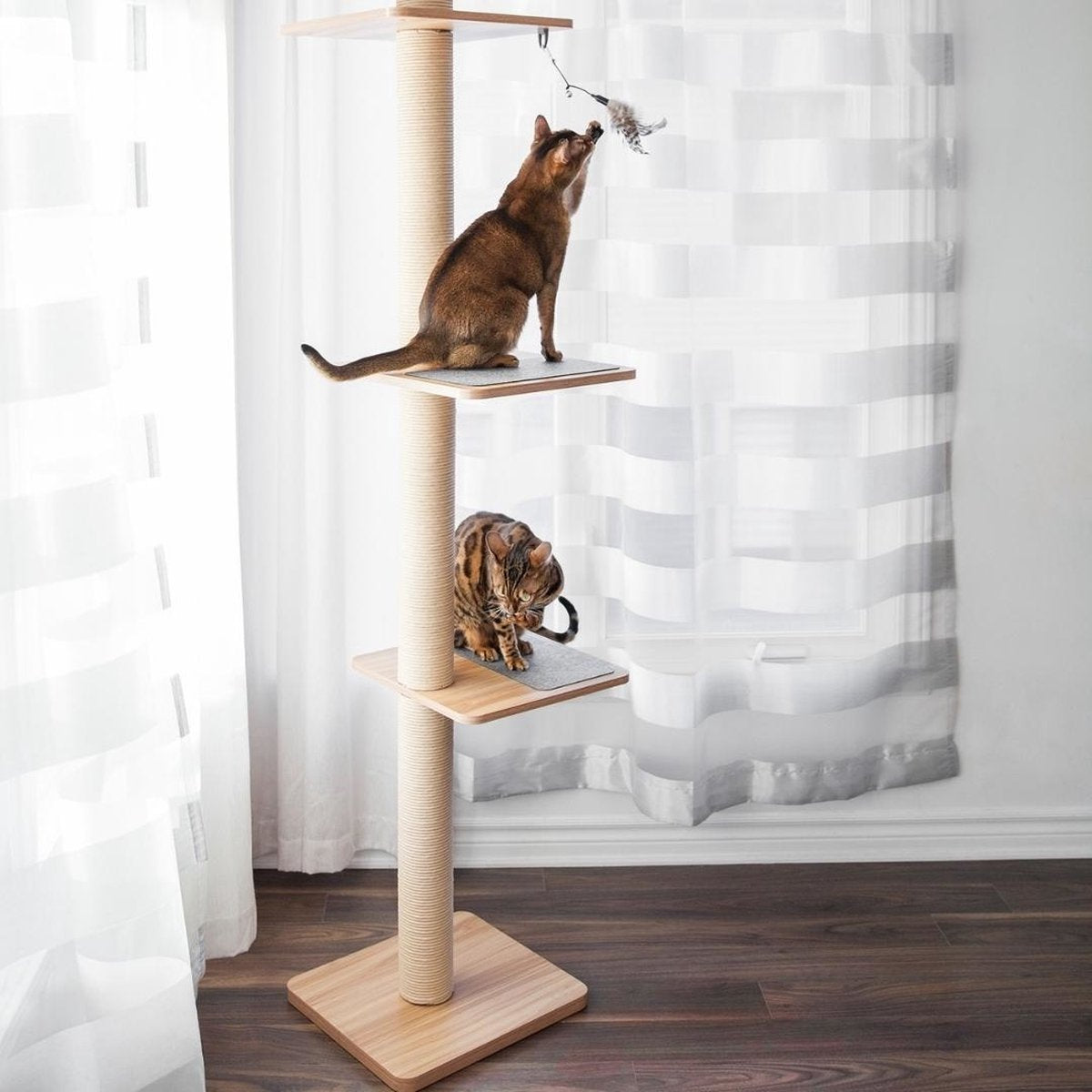  BeOneBreed Katt3 EVO Tower - Krabpaal Voor Katten Van Vloer Tot Plafond – Inclusief 3 Vilten Matjes En Hangspeeltje - Gelamineerd Hout - Maximale Hoogte 254 Cm