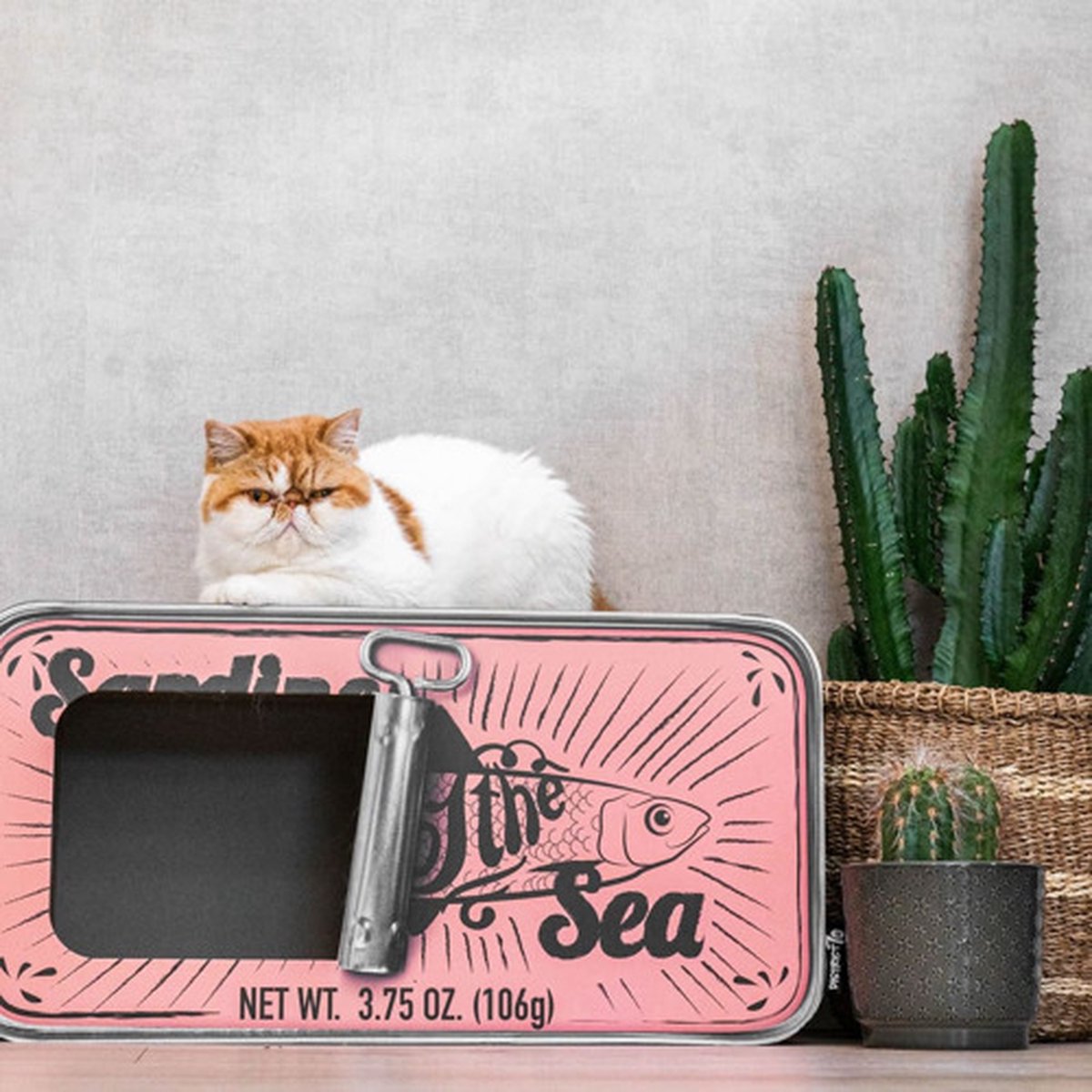  District 70 SARDINE - Design Katten Krabmeubel Van Gerecycled Karton - Zwart, Wit Of Perzik - Afmeting 60x30x30 Cm - Perzik