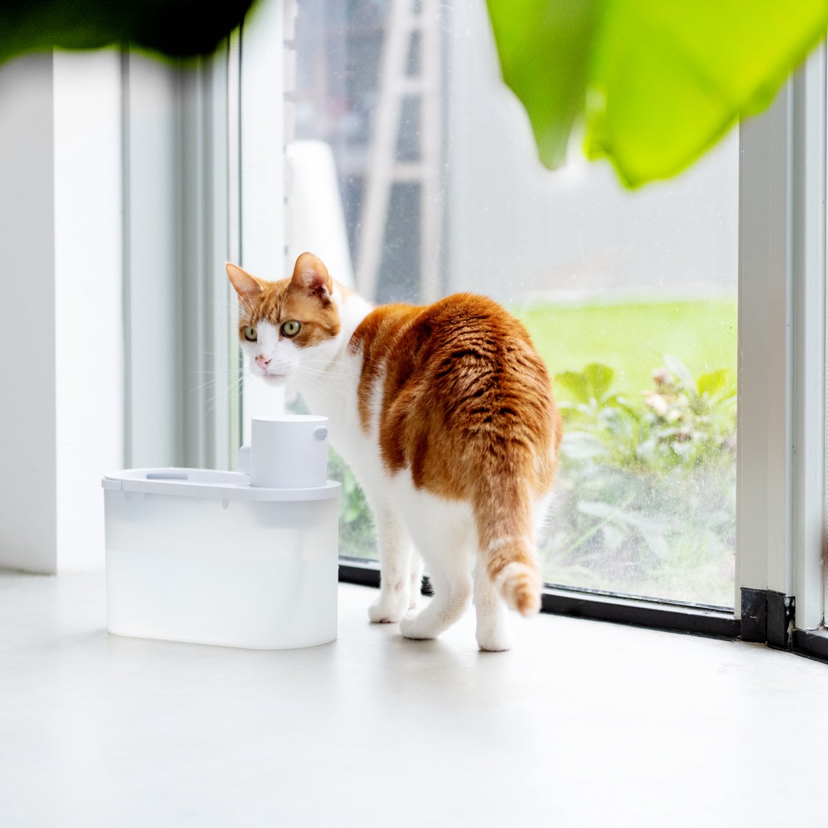  Hoopo® Agua - DRAADLOZE Waterfontein Katten - SMART Waterfontein Katten - UVC Disinfectie - 2 Liter - Automatische Katten Fontein