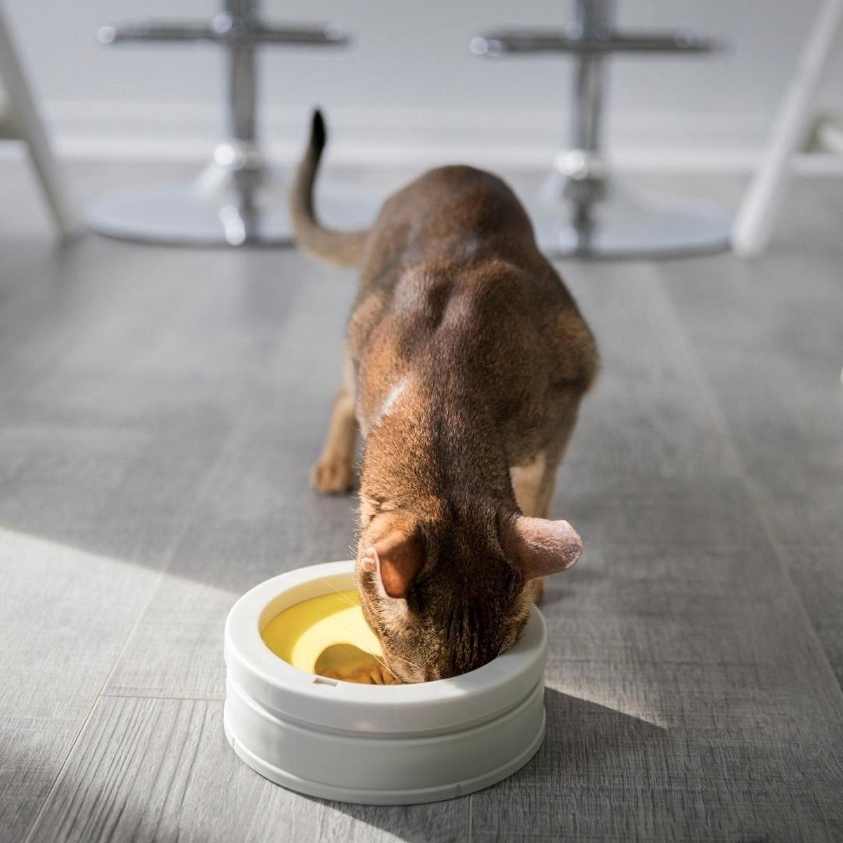  BeOneBreed Intellikatt - Slowfeeder Voor Katten - Voerpuzzel Aanbevolen Door Dierenartsen En Kattengedragsdeskundigen