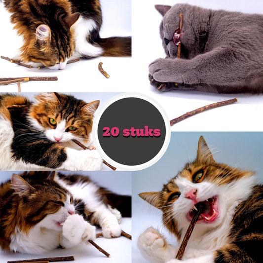  Make Me Purr Matatabi Sticks (20 Stuks) - Silver Vine Kattenkruid Stokjes - Catnip Effect Kauwstokjes - Kattensnack Kattensnoepjes - Kattenspeelgoed Kattenspeeltjes