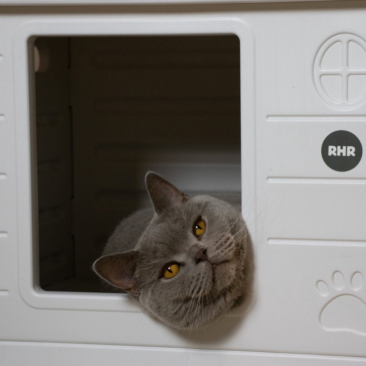  RHRQuality Kattenhuis Voor Binnen En Buiten Kattenhok Villa De Luxe Wit 60cm