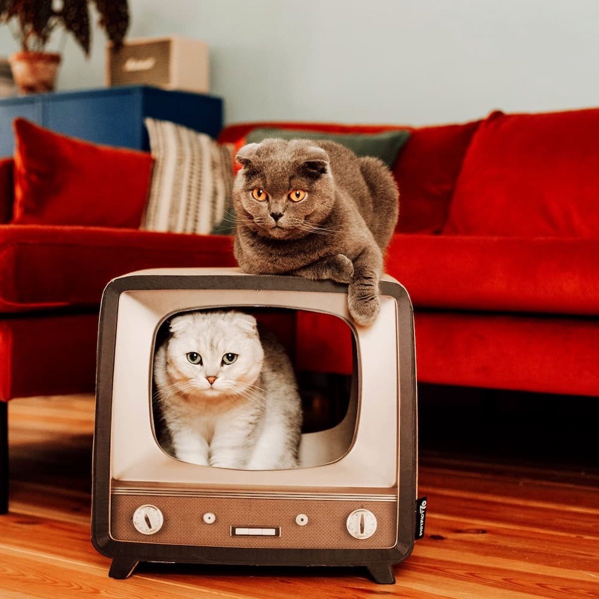  District 70 TELLY - Retro TV Krabmeubel - Instagrammable Kartonnen TV Voor Katten - 39 X 27 X 37 Cm
