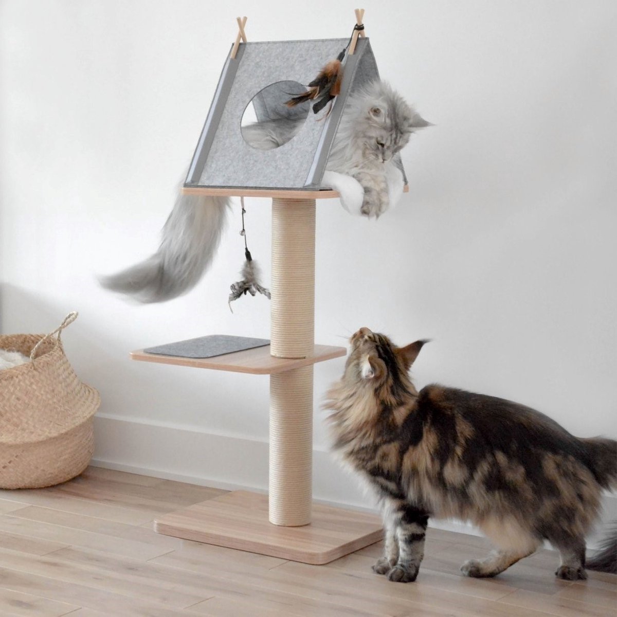  BeOneBreed Katt3 EVO Classic Natural – Krabpaal Voor Katten – Inclusief Memory Foam Kussen, Vilten Mat En Hangspeeltje – Gelamineerd Hout - Afmetingen 42,5 X 37,5 X 76 Cm