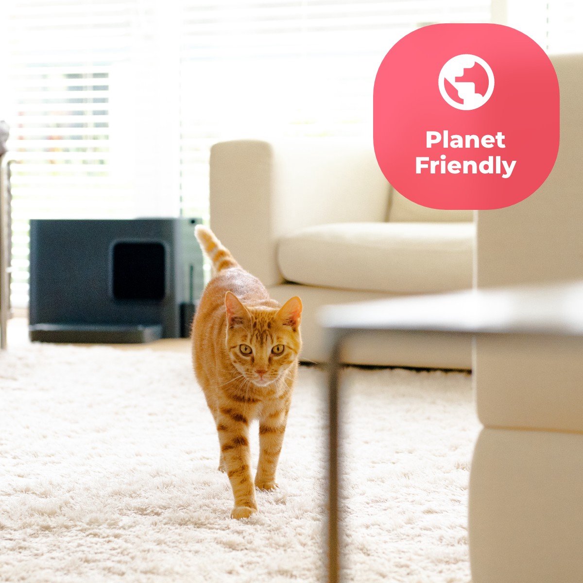  Hoopo® Dome Plus Kattenbak Grijs - Kattenbak - Kattenbakschep - 50x37.5x38cm - Grote Kattenbak