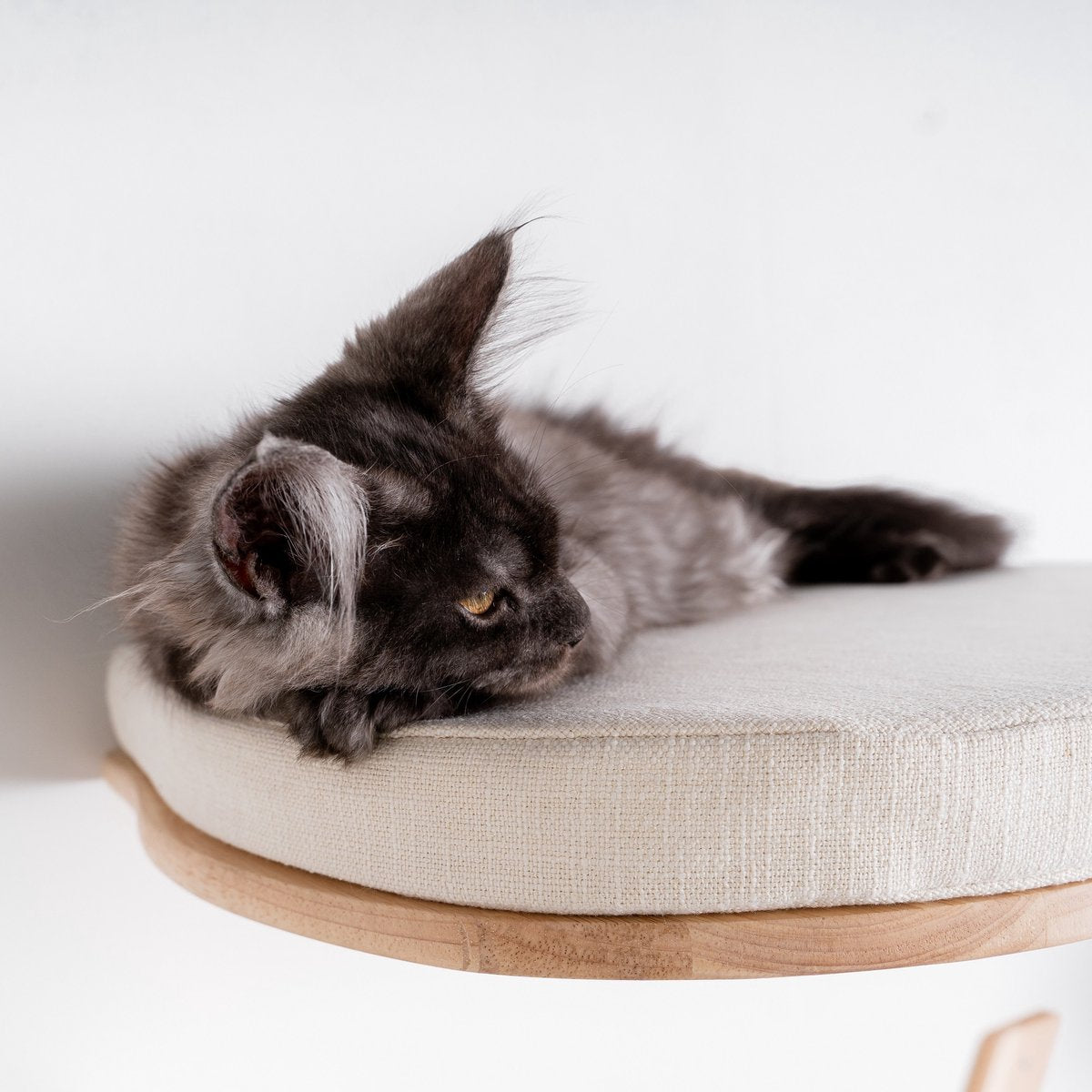  RHRQuality Wandmeubel Wandmontage Klimmuur Kat 53 X 43cm Luxe Kattenbed Creme Wand Muur Krabpaal Katten Muurbevestiging