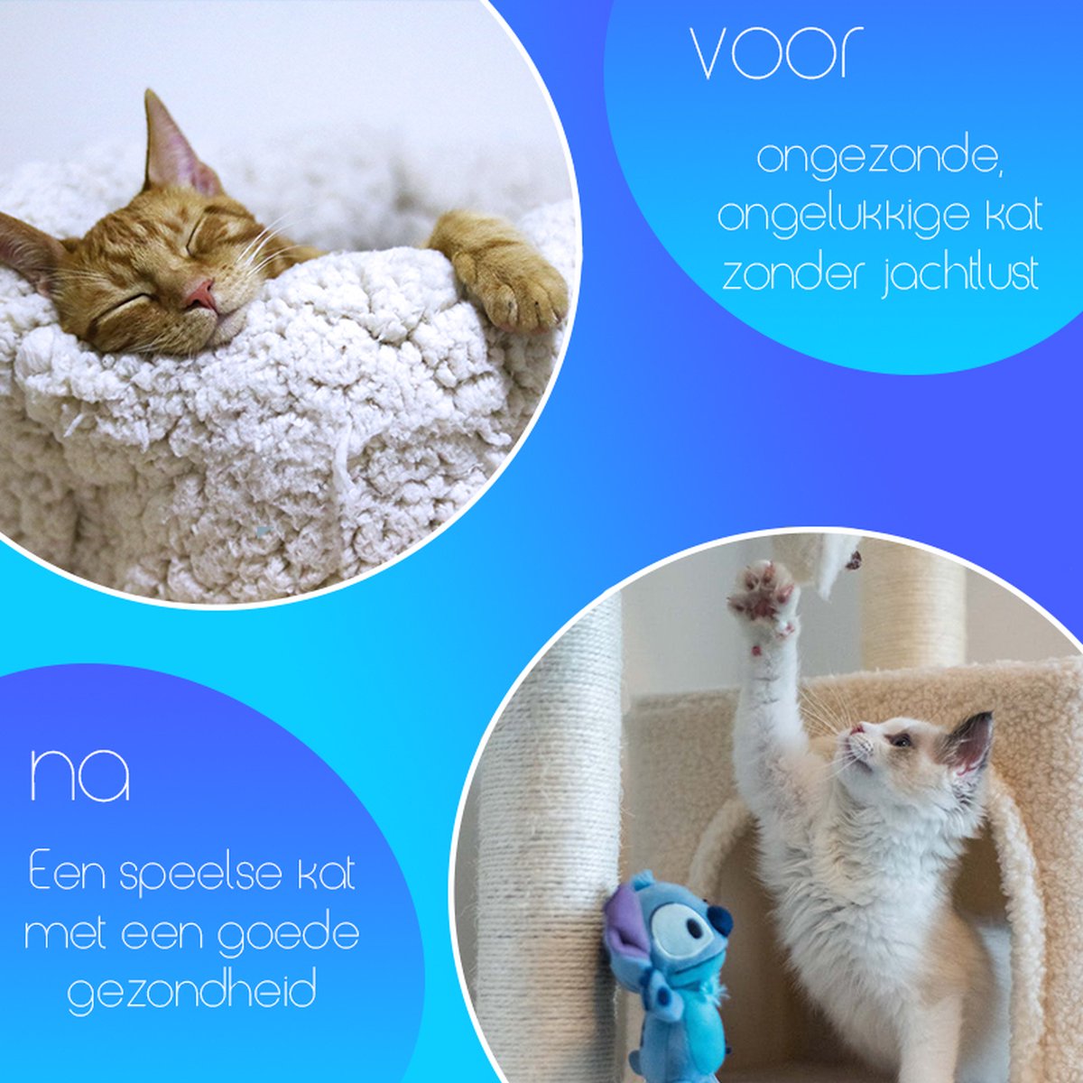  TocaToca Kip- Interactieve Zelf Bewegende Speeltje- Kattenspeeltjes- Intelligentie- Kattenspeelgoed- Kip Voor Katten- Laser- USB- Speelgoed- Geluid- Oranje