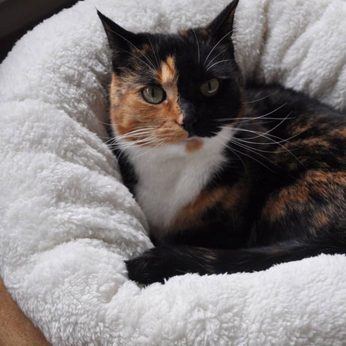  All For Paws Donut Bed – Kattenmand – Biedt Warmte En Comfort Voor Katten Of Kleine Honden – Ø 45cm – Beige – Wasbaar Met De Hand