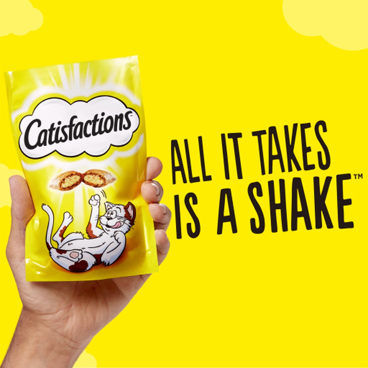  Catisfactions Kattensnoepjes - Kaas - Kattensnack - 60 G - 1 Zakje