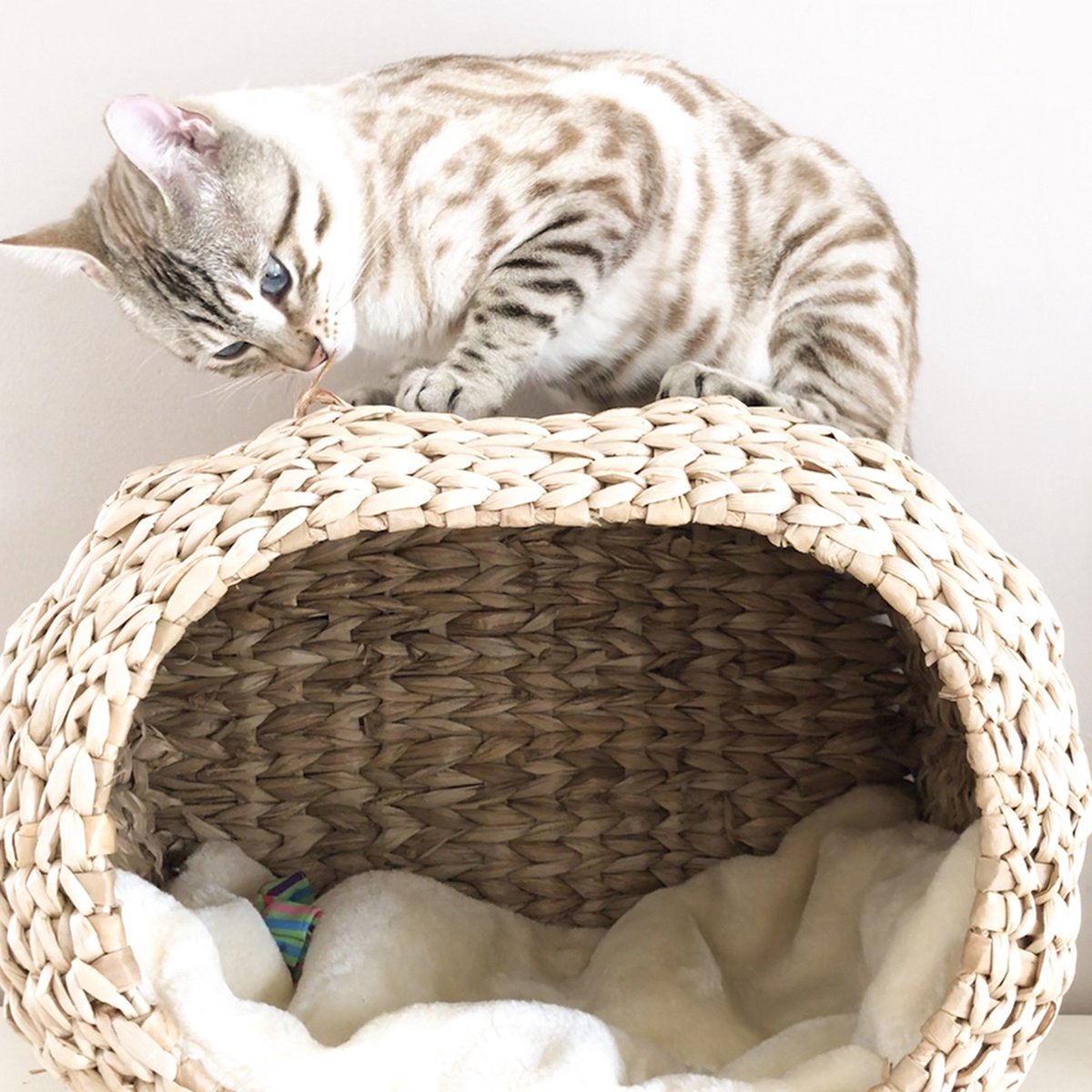  Ebi Radiator Sunrise Kattenmand - Incl. Kussen - Beige - 45 X 30 X 30 Cm