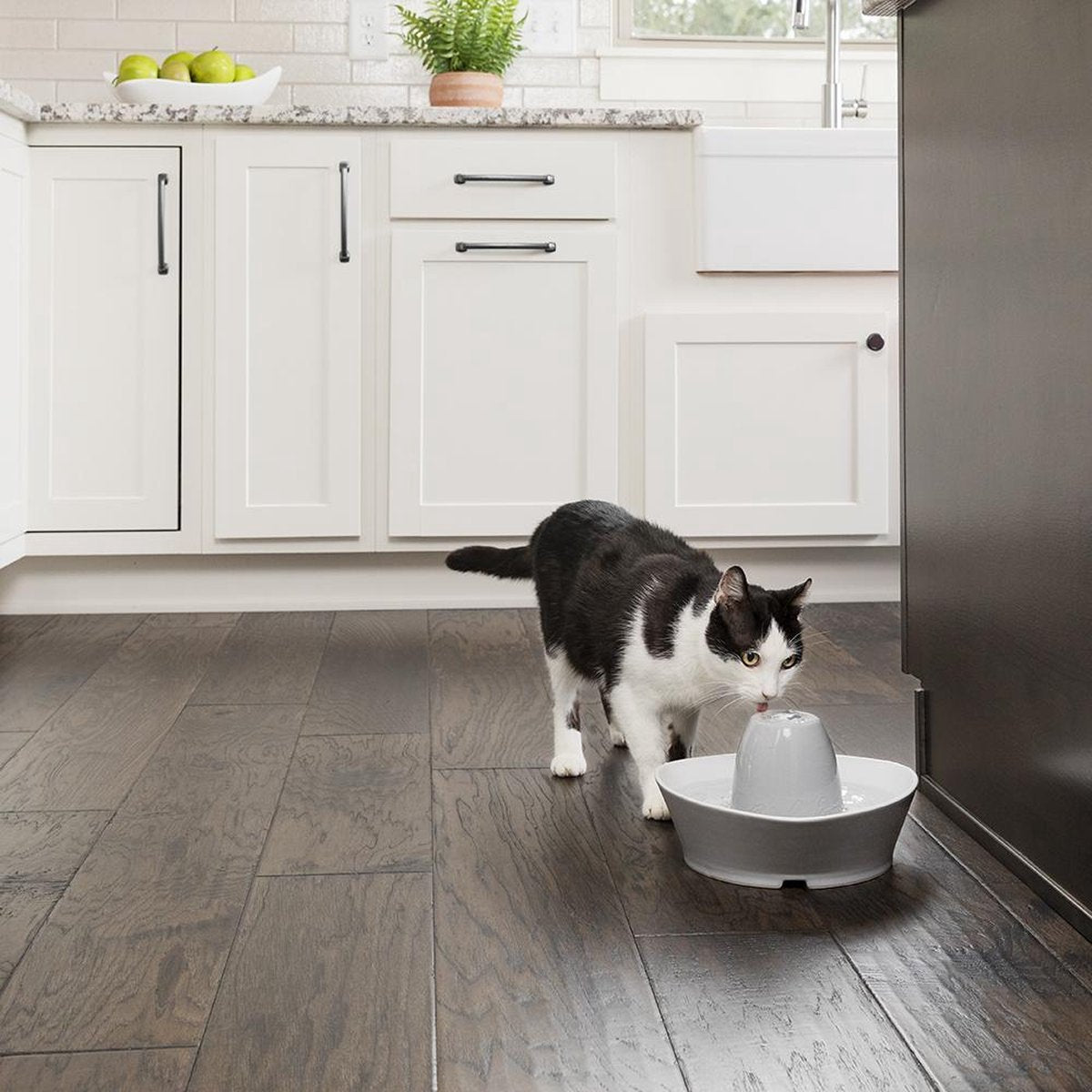  PetSafe® Streamside Ceramic Pet Fountain - Keramische Drinkfontein Voor Katten En Kleine Honden - Water Borrelt Zacht Over De Toren - Door Het Design Van Alle Kanten Bereikbaar - 1,8 Liter - PetSafe Streamside