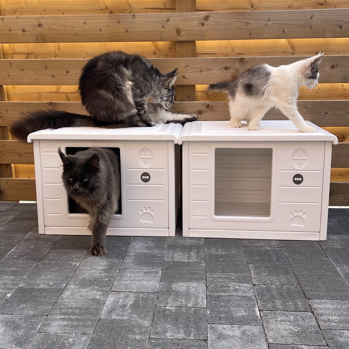  RHRQuality Kattenhuis Voor Binnen En Buiten Kattenhok Villa De Luxe Wit 60cm