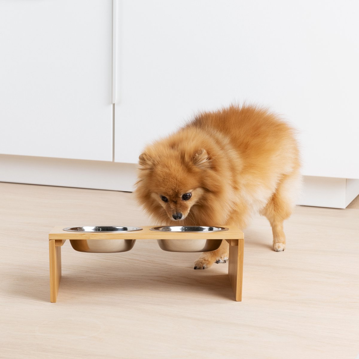  Navaris Verhoogd Dubbel Dieren Voedingsstation - 2 Kommen Voor Katten En Kleine Honden - Roestvrij Staal - Verhoogde Bamboe Standaard