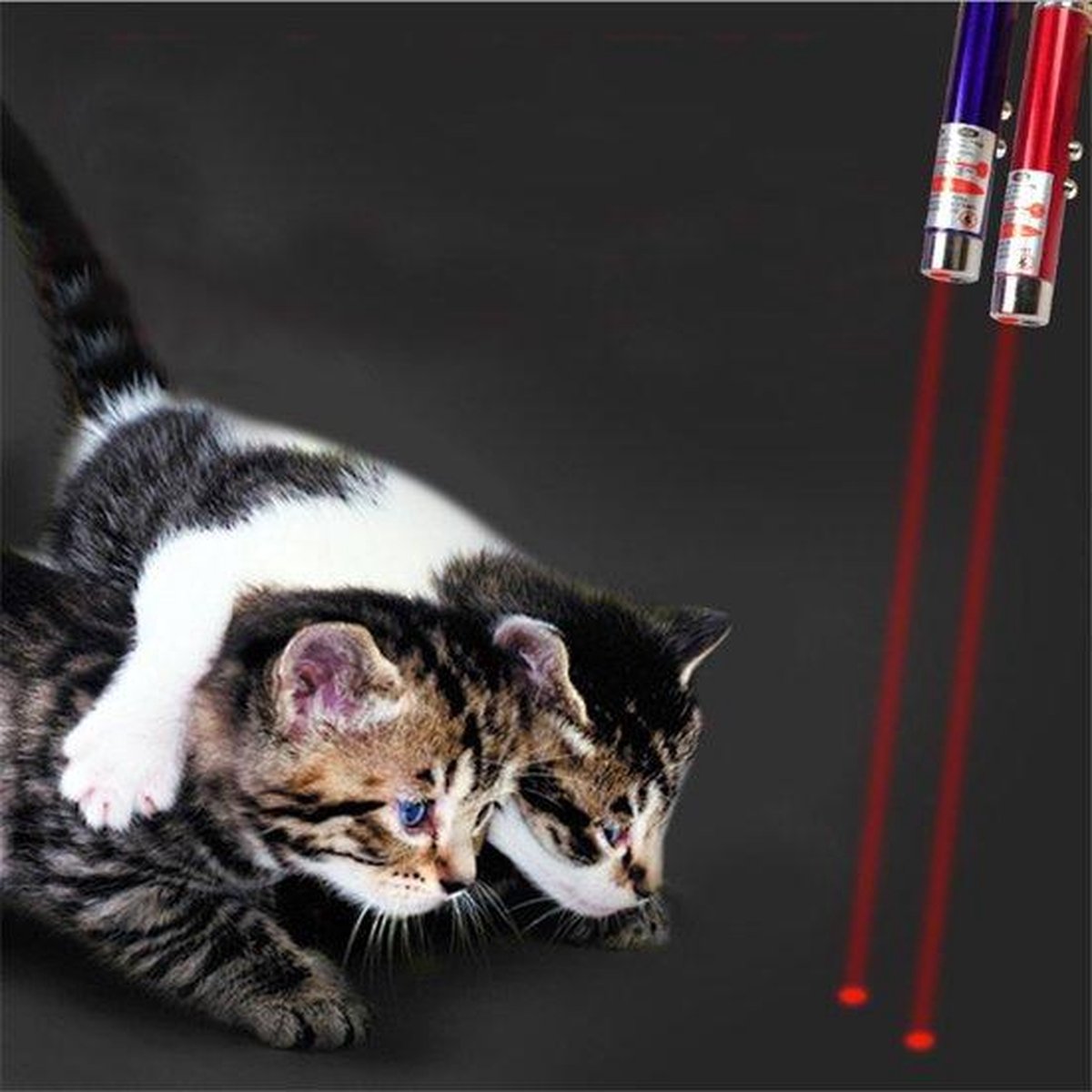 Merkloos Laser Lampje Voor Kat - Met Mini Zaklamp - Kattenlampje