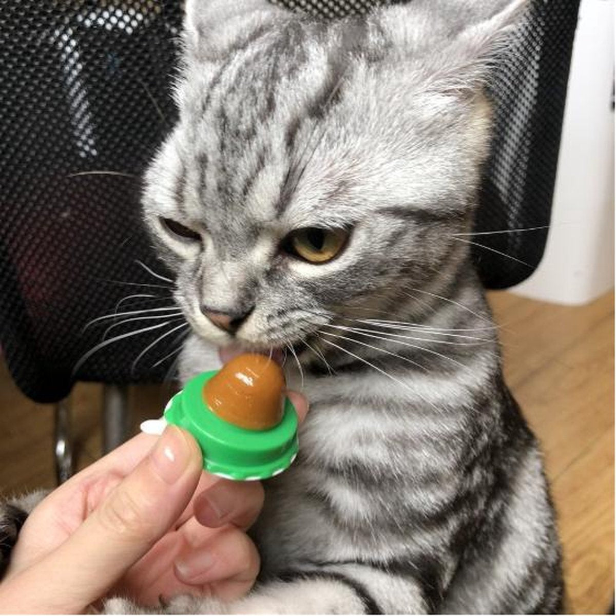 Merkloos EPIN | Kattenkruid Lik Snoepje | Plak Strip | Katten Snacks | Katten Snoep