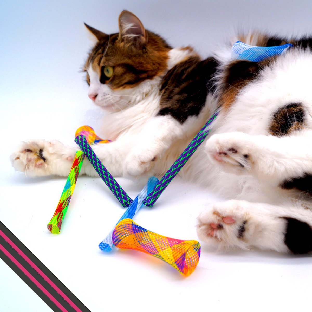  Make Me Purr Kitty Boinks Springveren (10 Stuks) - Kattenspeeltjes - Kattenspeelgoed - Speelgoed Voor Katten Veertjes - Kat Speeltje Springveer - Kitten Speeltjes Springveertjes - Kattenveertjes